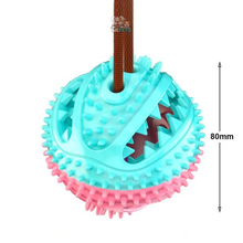 Carregar imagem no visualizador da galeria, Cabo de Guerra com Porta Petiscos + Brinde Mordedor para Cachorro