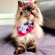 Carregar imagem no visualizador da galeria, Finder Pet - Saiba em tempo Real onde seu Pet está