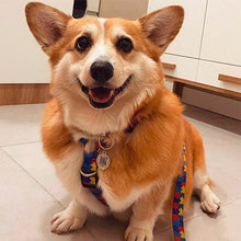 Carregar imagem no visualizador da galeria, Finder Pet - Saiba em tempo Real onde seu Pet está