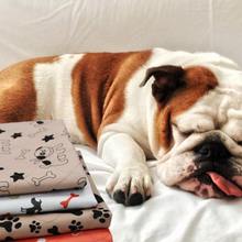 Carregar imagem no visualizador da galeria, Pipi Pad - A solução ideal para o xixi do seu pet