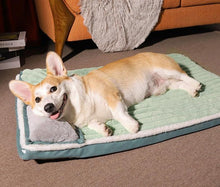 Carregar imagem no visualizador da galeria, Cama Ultra Confort - Cachorros e Gatos