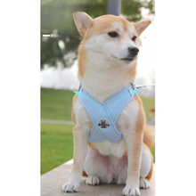 Carregar imagem no visualizador da galeria, Kit Coleira e Peitoral Duomm