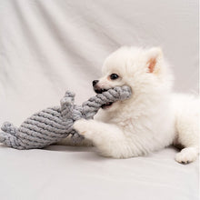 Carregar imagem no visualizador da galeria, Brinquedo Mordedor Corda - O amigo mais resistente do seu Pet