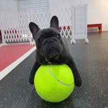 Carregar imagem no visualizador da galeria, Tênis Ball - A gigante bola para cães
