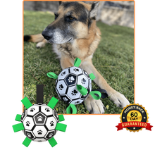 Carregar imagem no visualizador da galeria, Soccer Ball Petz - A escolha divertida para o seu cãozinho