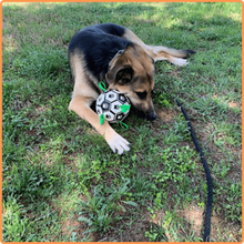 Carregar imagem no visualizador da galeria, Soccer Ball Petz - A escolha divertida para o seu cãozinho