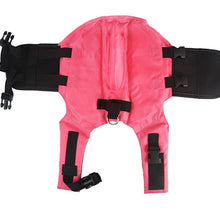 Carregar imagem no visualizador da galeria, Colete Salva-Vidas Baby Shark