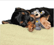Carregar imagem no visualizador da galeria, Brinquedo Pelúcia Kong Wild Bear - Urso de Pelúcia com corda Indestrutível