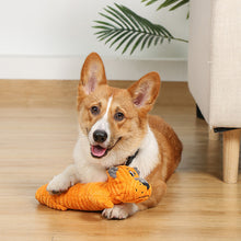 Carregar imagem no visualizador da galeria, Pelúcia Petz - O brinquedo invencível para seu Pet