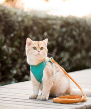 Carregar imagem no visualizador da galeria, Coleira anti-fuga para gatos - Safe Cat
