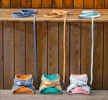 Carregar imagem no visualizador da galeria, Coleira anti-fuga para gatos - Safe Cat