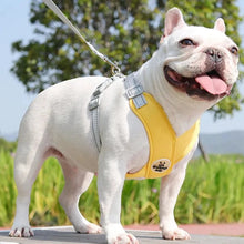 Carregar imagem no visualizador da galeria, Kit Coleira e Peitoral Duomm