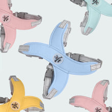 Carregar imagem no visualizador da galeria, Kit Coleira e Peitoral Duomm