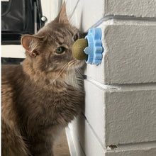 Carregar imagem no visualizador da galeria, Pet Relax - Abacate Rolante