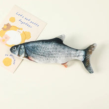 Carregar imagem no visualizador da galeria, Peixe Sapeca - O companheiro diário do seu cãozinho