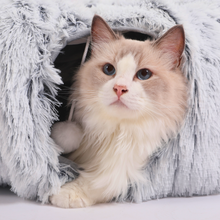 Carregar imagem no visualizador da galeria, Caminha 2 em 1 | Para Gatos