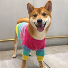 Carregar imagem no visualizador da galeria, Tricot Pet Color