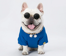 Carregar imagem no visualizador da galeria, Óculos de Sol | Para Cachorro e Gato