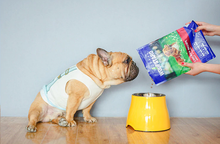 Carregar imagem no visualizador da galeria, Tigela Elevada | Para Cachorro