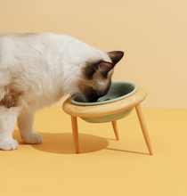 Carregar imagem no visualizador da galeria, Tigela Cerâmica Bentivi