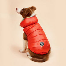 Carregar imagem no visualizador da galeria, Colete Reversível Colorful | Para Cachorro e Gato