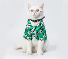 Carregar imagem no visualizador da galeria, Óculos de Sol | Para Cachorro e Gato