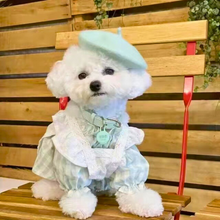 Carregar imagem no visualizador da galeria, Boina Pet | Para Cachorro e Gato