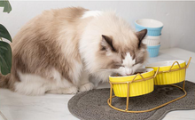 Carregar imagem no visualizador da galeria, Tigela Elevada Cerâmica Essency