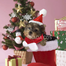 Carregar imagem no visualizador da galeria, Conjuntinho de Natal Pet | Para Cachorro e Gato