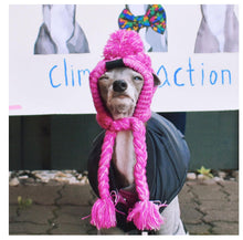 Carregar imagem no visualizador da galeria, Gorro Pet | Para Cachorro e Gato