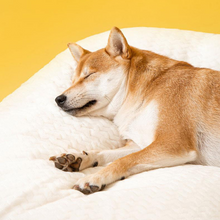 Carregar imagem no visualizador da galeria, Cama Pet Noah | Para Cachorro e Gato
