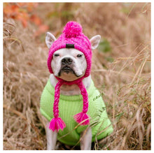 Carregar imagem no visualizador da galeria, Gorro Pet | Para Cachorro e Gato