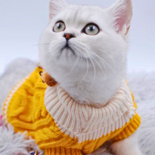 Carregar imagem no visualizador da galeria, Fashion Tricot | Para Cachorro e Gato