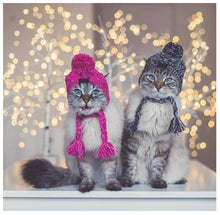 Carregar imagem no visualizador da galeria, Gorro Pet | Para Cachorro e Gato