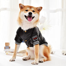 Carregar imagem no visualizador da galeria, Jaqueta Pet Victory