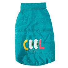 Carregar imagem no visualizador da galeria, Colete Pet Tadeu