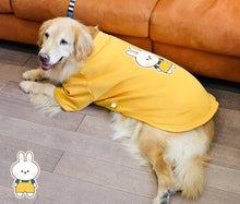 Carregar imagem no visualizador da galeria, Blusão Grande Pepper