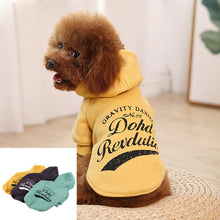 Carregar imagem no visualizador da galeria, Moletom Pet Holide