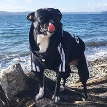 Carregar imagem no visualizador da galeria, Moletom Adidog