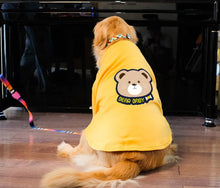 Carregar imagem no visualizador da galeria, Blusão Grande Pepper