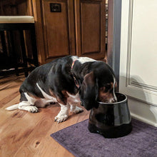 Carregar imagem no visualizador da galeria, Tigela Alta Bowl Black