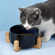 Carregar imagem no visualizador da galeria, Tigela Pet Cerâmica Essence