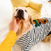 Carregar imagem no visualizador da galeria, Moletom Pet Apolo