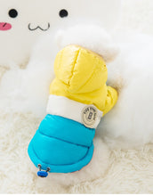 Carregar imagem no visualizador da galeria, Jaqueta Pet Robby