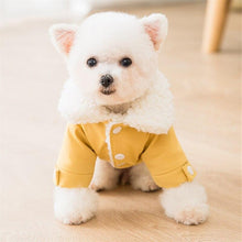 Carregar imagem no visualizador da galeria, Casaquinho Pet Smile | Para Cachorro e Gato