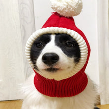 Carregar imagem no visualizador da galeria, Gorro Papai Noel | Para cachorro e gato