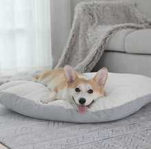 Carregar imagem no visualizador da galeria, Cama Pet Noah | Para Cachorro e Gato