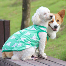 Carregar imagem no visualizador da galeria, Blusa Pet Romeo