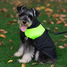 Carregar imagem no visualizador da galeria, Colete Pet Waterproof
