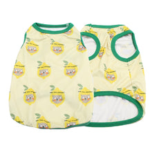 Carregar imagem no visualizador da galeria, Blusa Pet Romeo